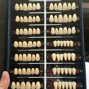 Dientes Acrílicos
